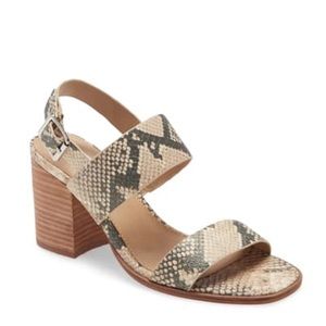 STEVE MADDEN Jadie Sandal Neutral Snake NIB 6